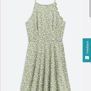 BRAND NEW fortune and ivy scalloped dress